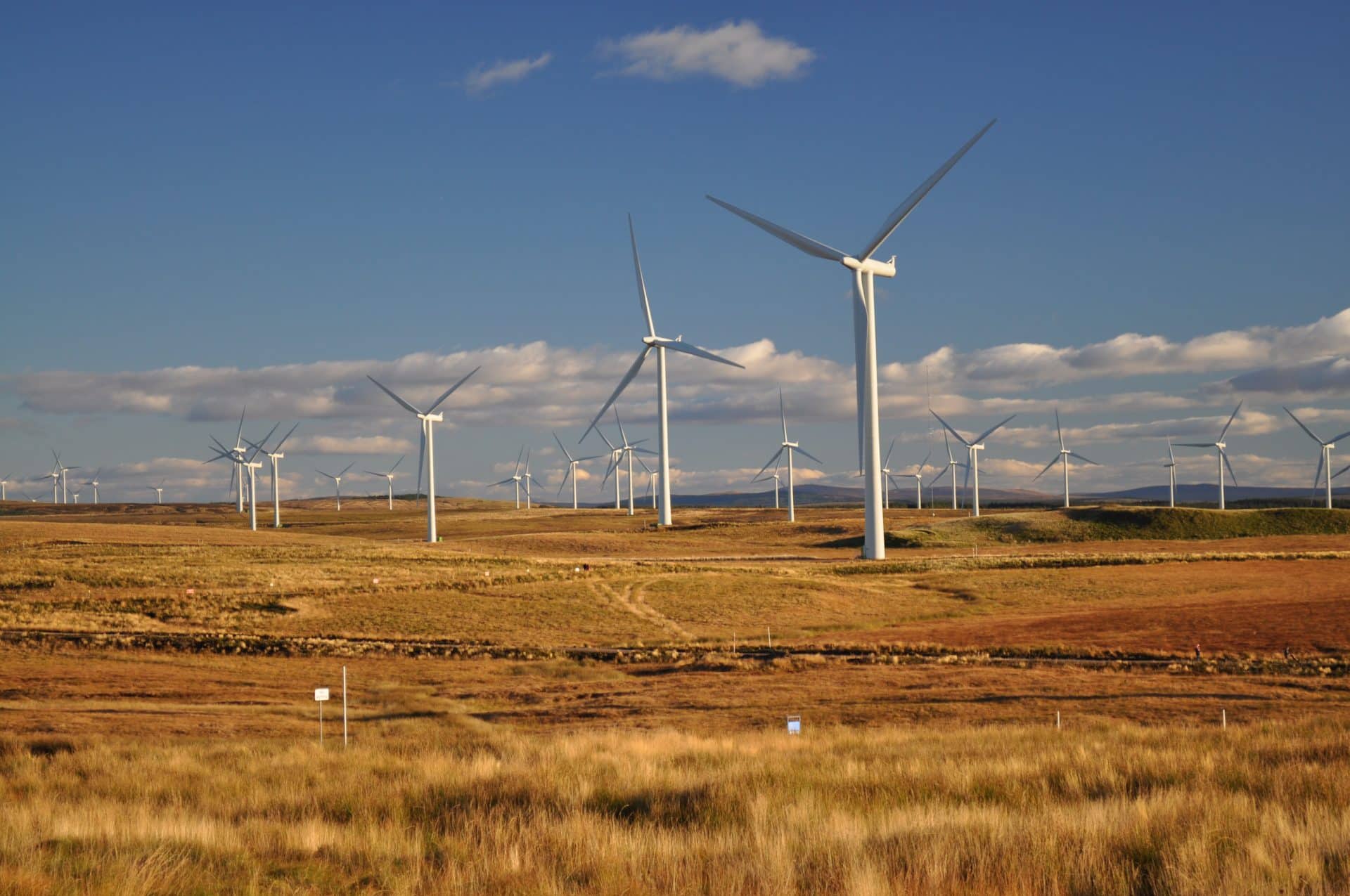 The rising wave of Renewable Energy moeller ip lawyers