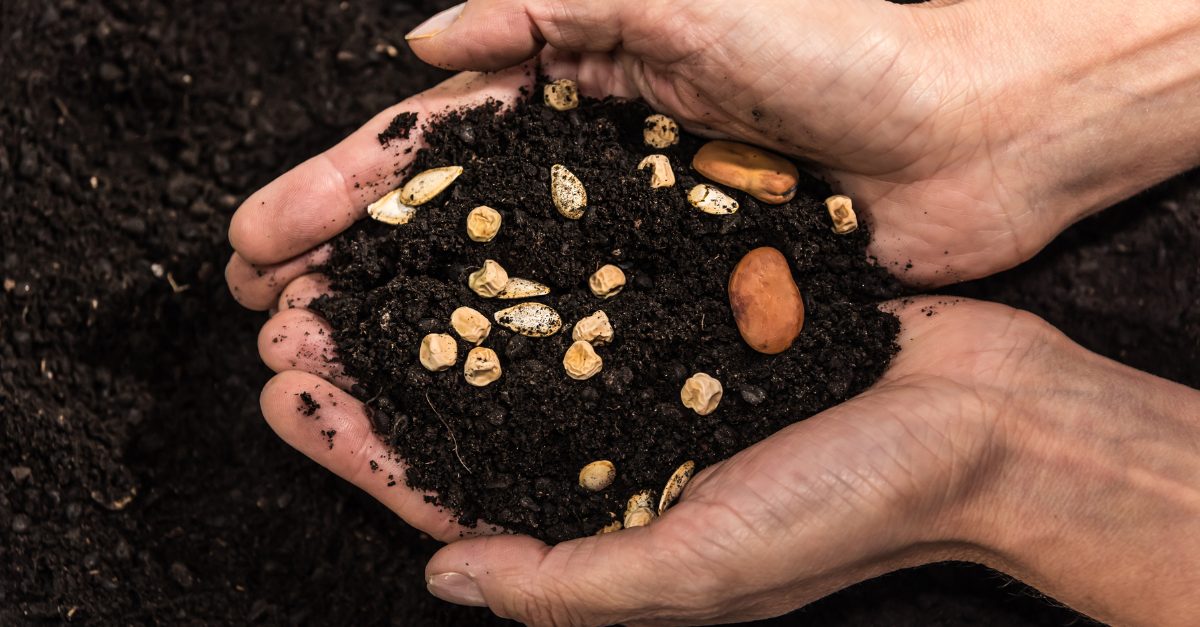 Argentina seed law reform